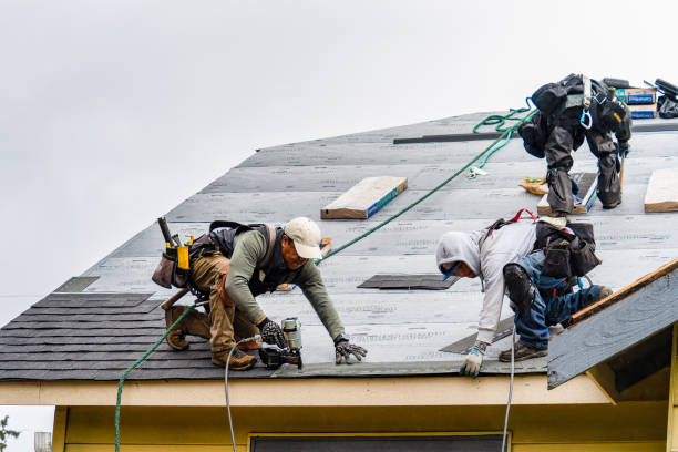 Professional Gutter Installation technician working in Phenix, VA